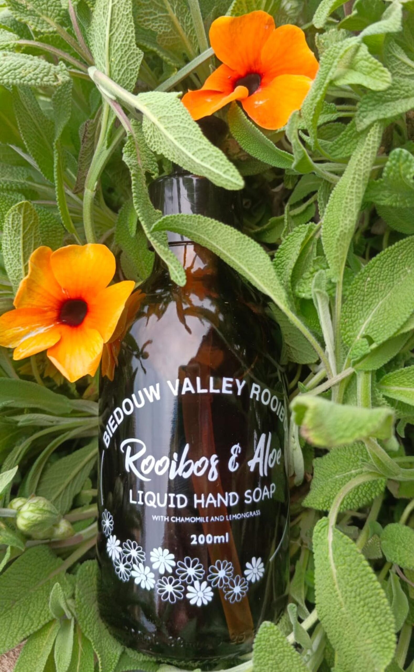 Rooibos Liquid Hand Soap – 200ml