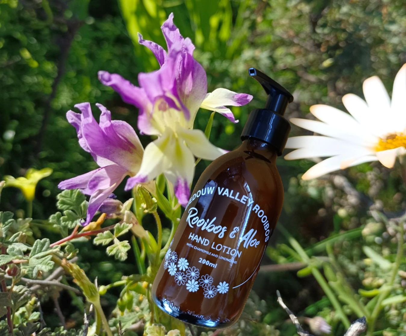 Rooibos & Aloe Hand Lotion – 250ml - Image 2