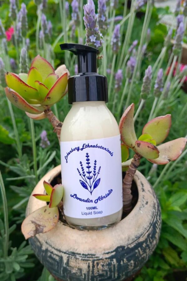 Lavender Liquid Hand Soap - 100 ml